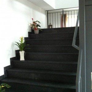 trap6                         